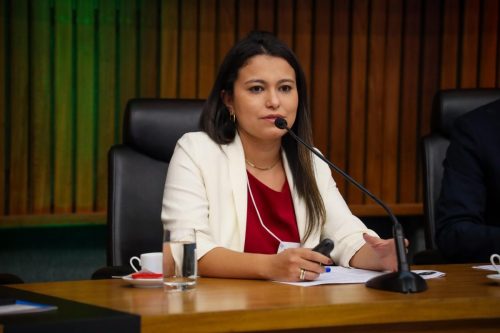 xxiii-congresso-da-associao-nacional-do-ministrio-pblico-do-consumidor-defesa-do-direito-do-consumidor-em-eventos-climticos-extremos-painel-4 54751236970 o