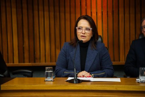 xxiii-congresso-da-associao-nacional-do-ministrio-pblico-do-consumidor-defesa-do-direito-do-consumidor-em-eventos-climticos-extremos-painel-7 54751637802 o