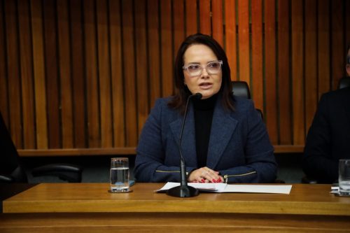 xxiii-congresso-da-associao-nacional-do-ministrio-pblico-do-consumidor-defesa-do-direito-do-consumidor-em-eventos-climticos-extremos-painel-7 54752707209 o