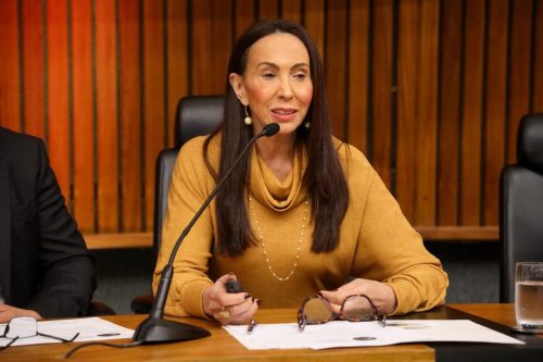 xxiii-congresso-da-associao-nacional-do-ministrio-pblico-do-consumidor-defesa-do-direito-do-consumidor-em-eventos-climticos-extremos-painel-7 54752707239 o